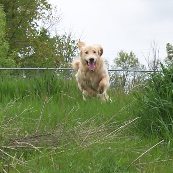 WELCOME - Picture 3 of 3